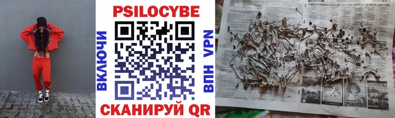 Псилоцибиновые грибы мицелий  Кизляр 